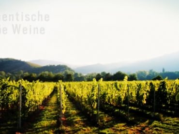 Wijnen uit de Nahe (Duitsland)